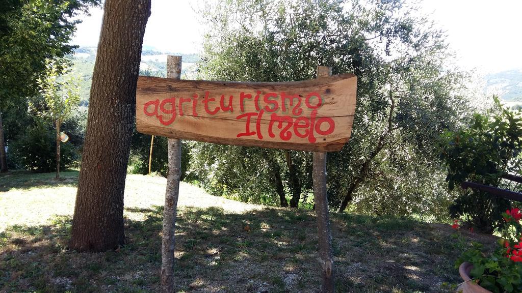Agriturismo Il Melo Valfabbrica Buitenkant foto